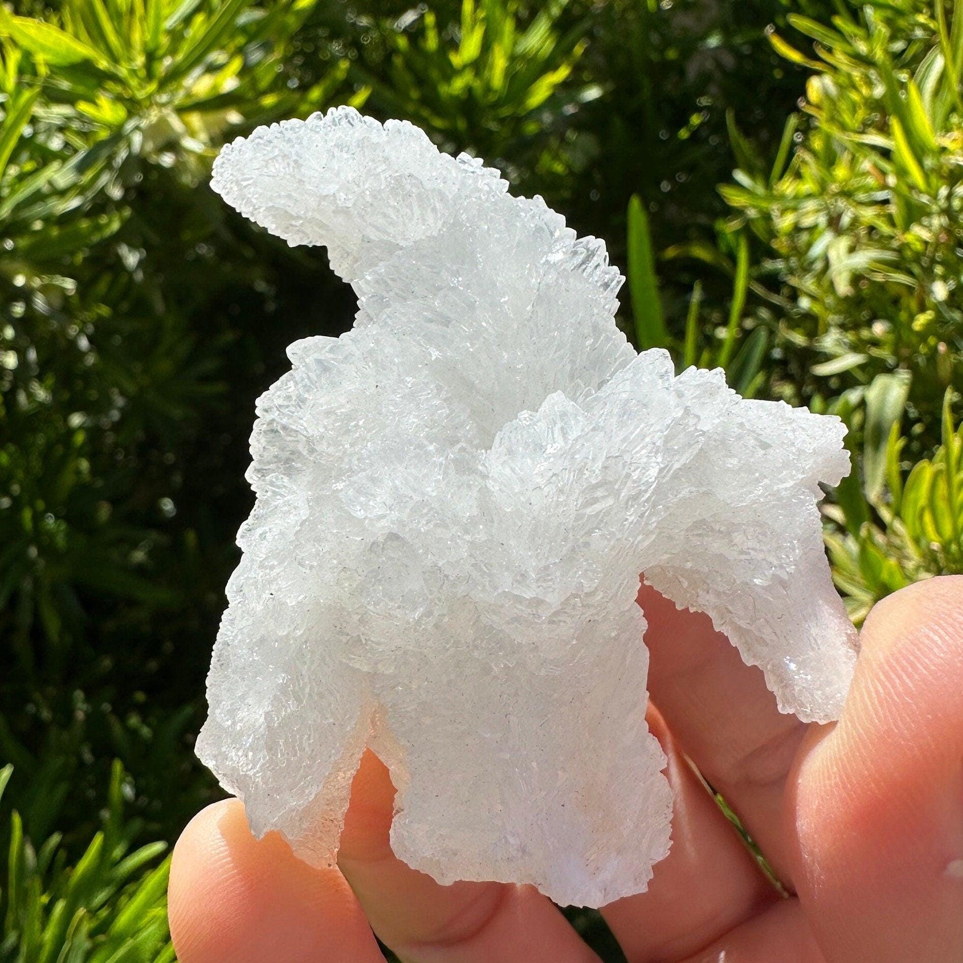 アラゴナイト「Cave Calcite 」 レア アラゴナイト「Cave Calcite 」 レア コレクション