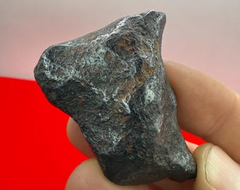 ムンドラビラ鉄隕石標本：105.19グラム、オーストラリア、天文学ギフト