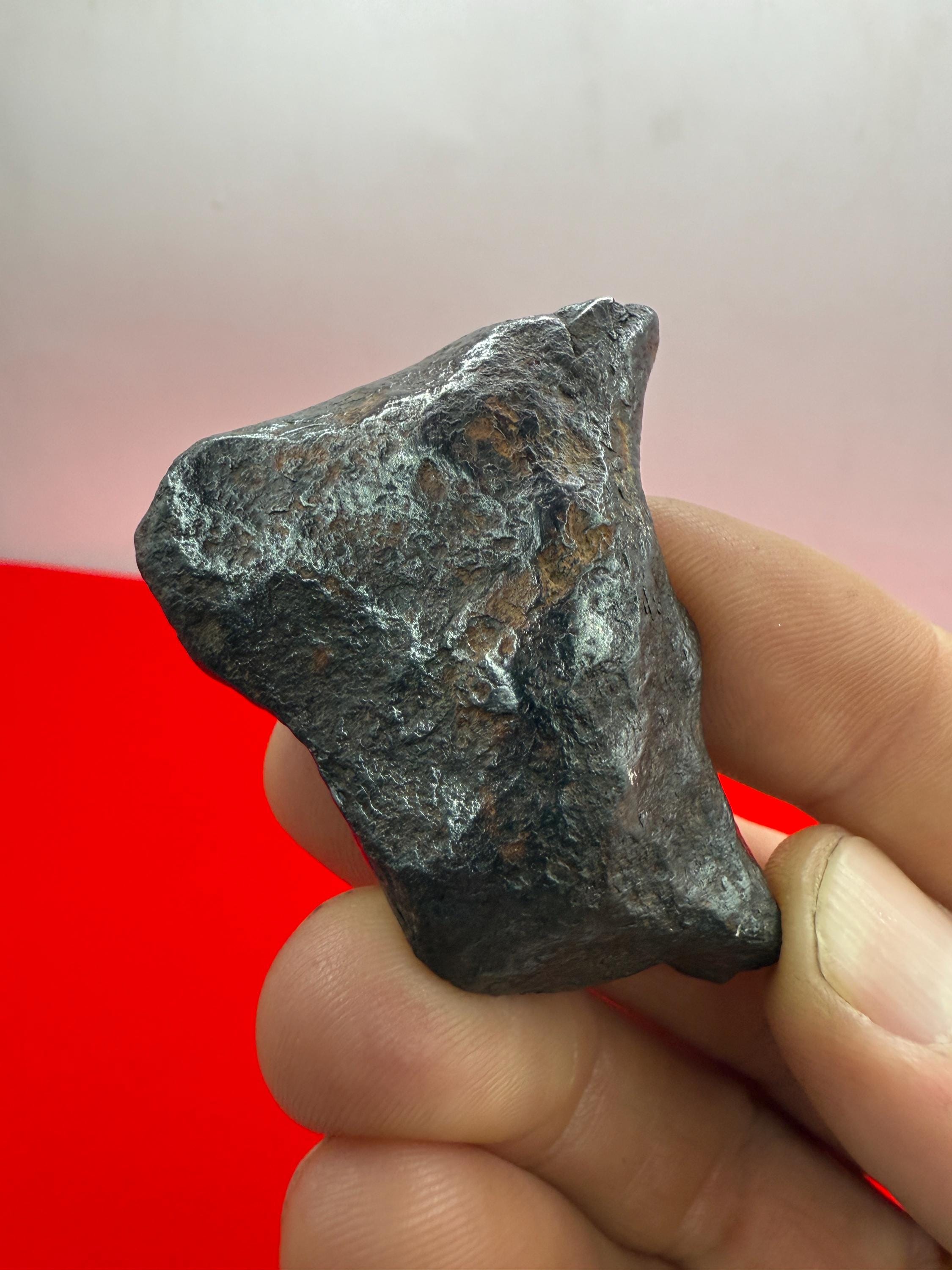 ムンドラビラ鉄隕石標本：105.19グラム、オーストラリア、天文学ギフト