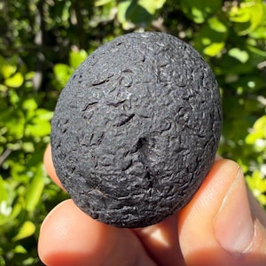 May include: A dark, oval-shaped rock with a textured surface and a deep black colour. The rock has a rough, pitted appearance with numerous small grooves and indentations. The background is blurred, with green foliage.