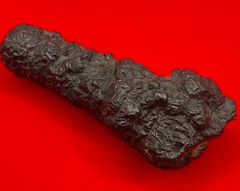 Prophecy Stone: Elongated Z Stone from Egypt, 57.64 grams