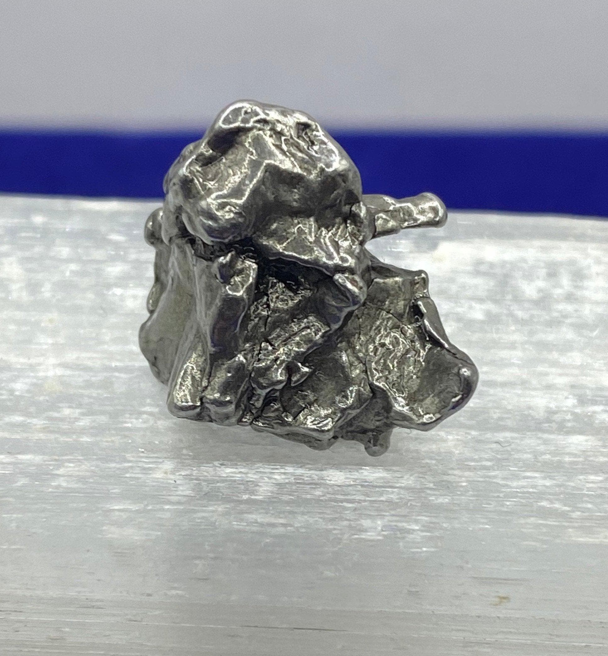 カンポ・デル・シエロ隕石標本（9.91グラム）展示ケース付き - Etsy 日本