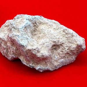 Bechar 007 Meteorite lunare/lunare, Breccia feldspatica, Meteorite lunare, Collezione Meteorite, Breccia feldspatica lunare, 26,61 grammi
