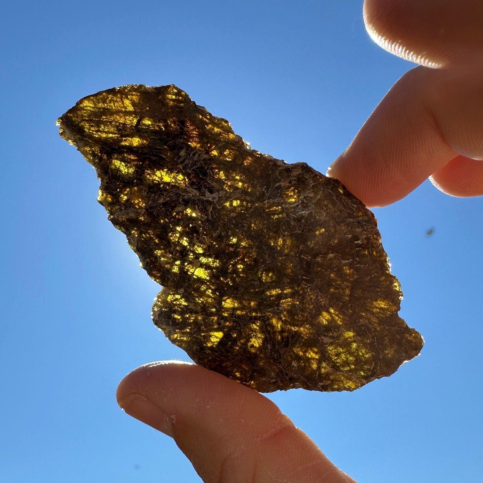 NWA 7831 隕石 ダイオジェナイト 41.1g 小惑星ベスタ ⭐ 【公式通販】