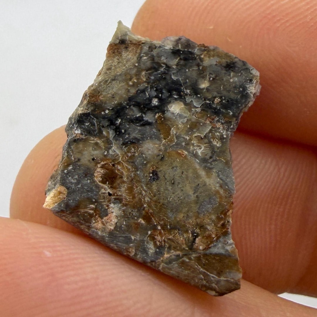 NWA 18045 Lunar Meteorite Slice, Melt Breccia Moon Rock (1.48 Grams) - Etsy
