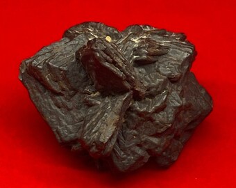 Prophecy Stone: Egypt, Coral-Like Z Stone, Reiki Gift, 26.74 grams