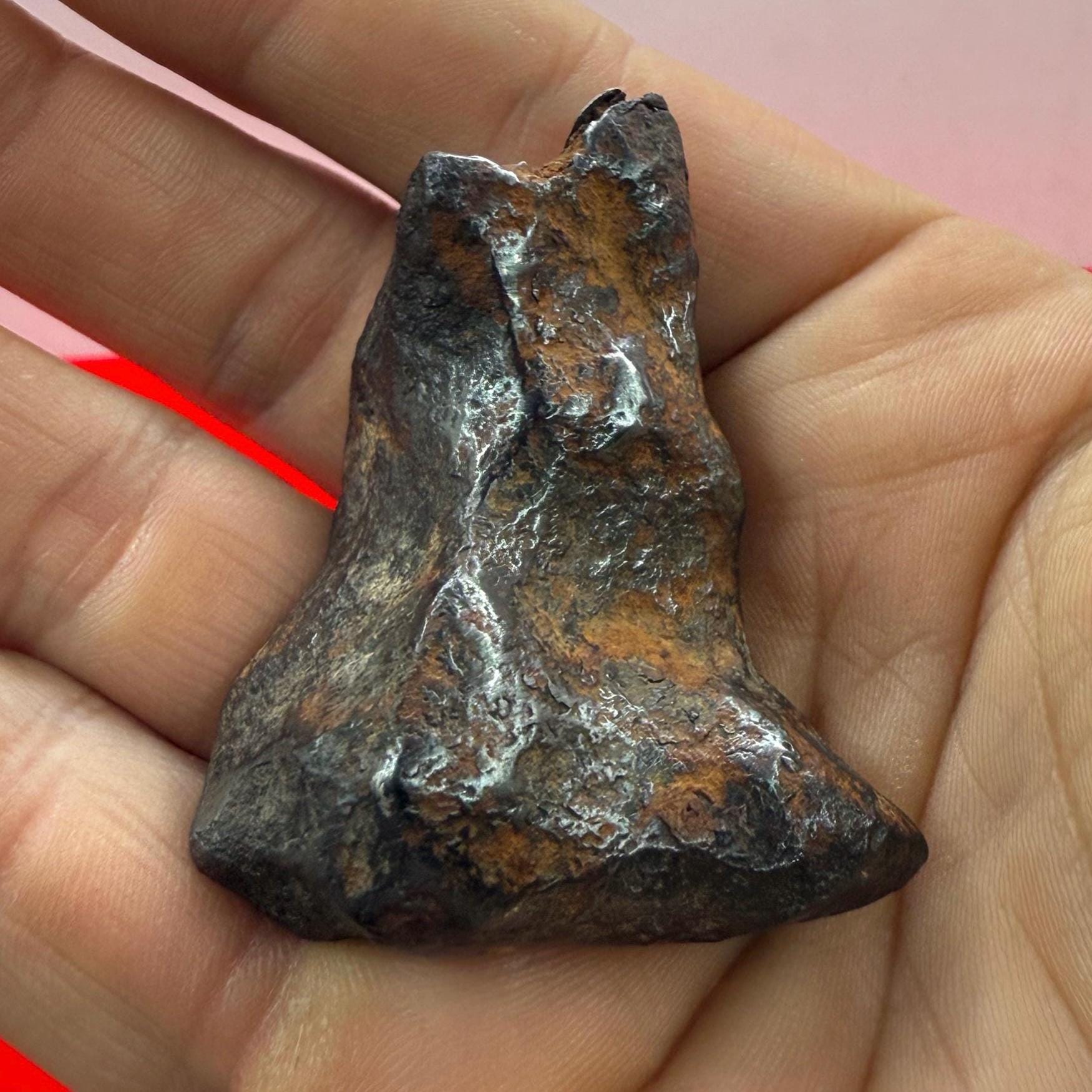 ムンドラビラ鉄隕石標本：105.19グラム、オーストラリア、天文学ギフト