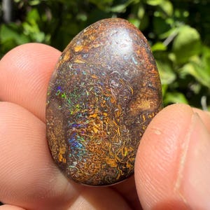 May include: A polished, oval-shaped opal with a rich, earthy color palette. The stone features intricate patterns of brown, gold, and hints of blue and green, creating a unique, iridescent display. The opal is held between fingers, showcasing its natural beauty.