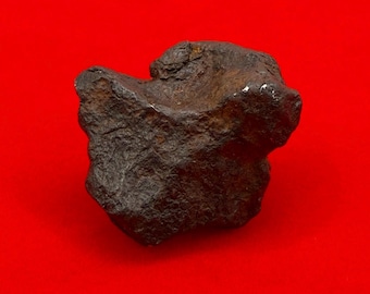Canyon Diablo Iron Meteorite Specimen: Arizona Space Gift, Authentic Meteorite, 14.08 grams