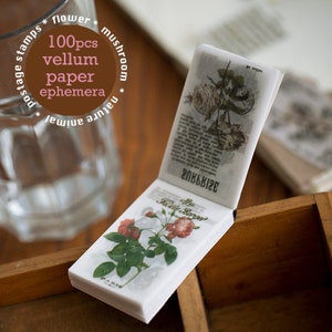 Mini-Pergamentpapier | gemischte Muster Blume Natur Tiere Pilz Pflanze florales Pergaminpapier Collage Y02