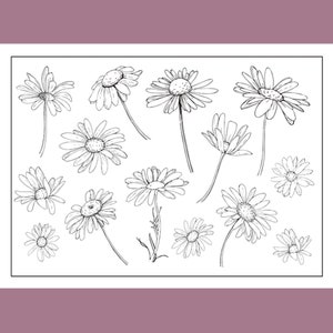 clear stamp set /clear stamps /daisy lily tulip floral botanical branch s31