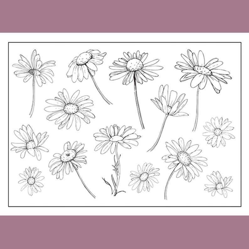 clear stamp set clear stamps daisy lily tulip floral botanical branch s31