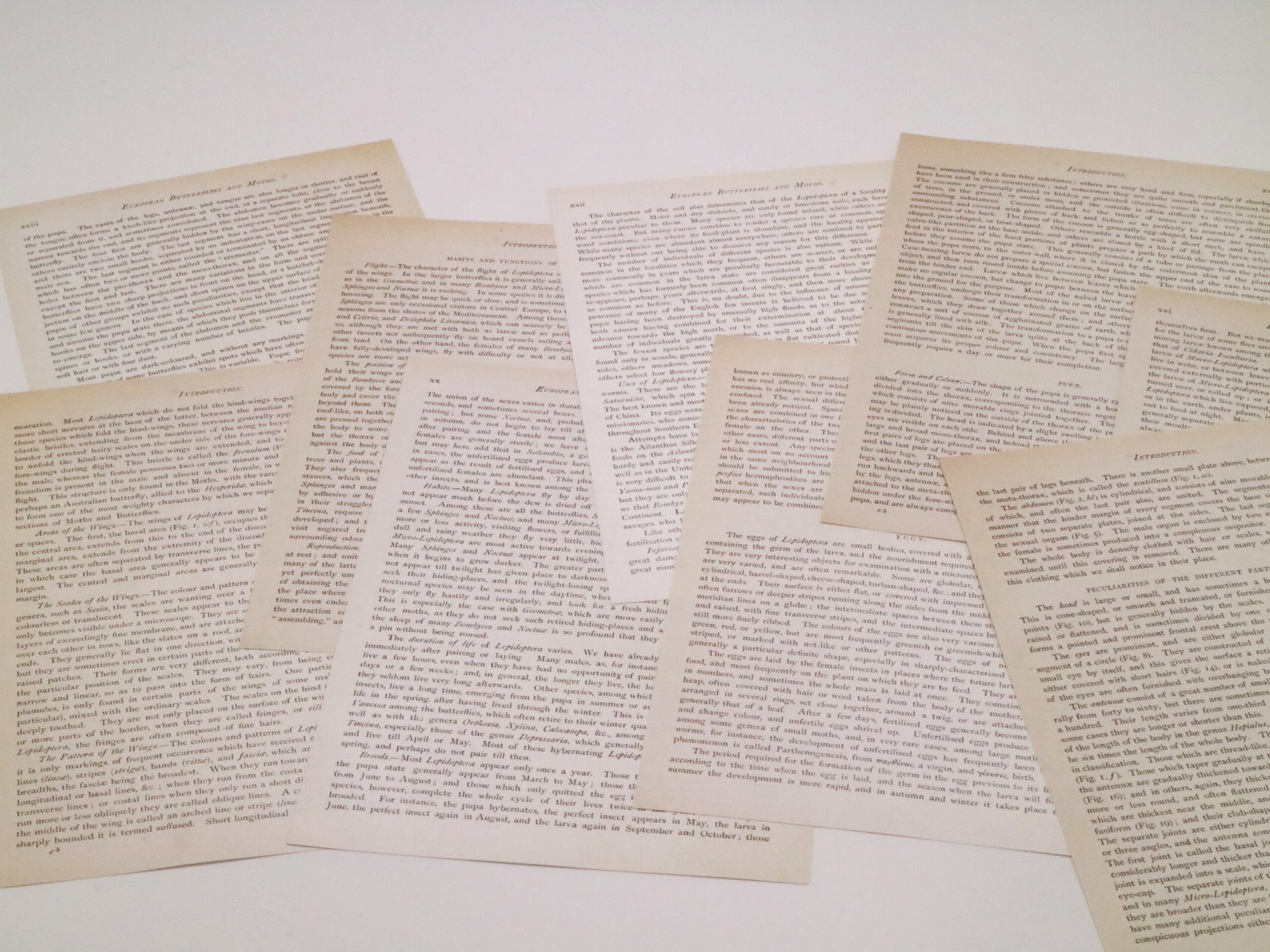 Vintage and Antique Paper Ephemera Pack Newspaper Book Music Paper 55 ...