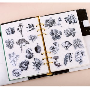 24pcs/pack vintage plant tree pepper flower  themed vellum clear Stickers, Die Cut Stickers ml05