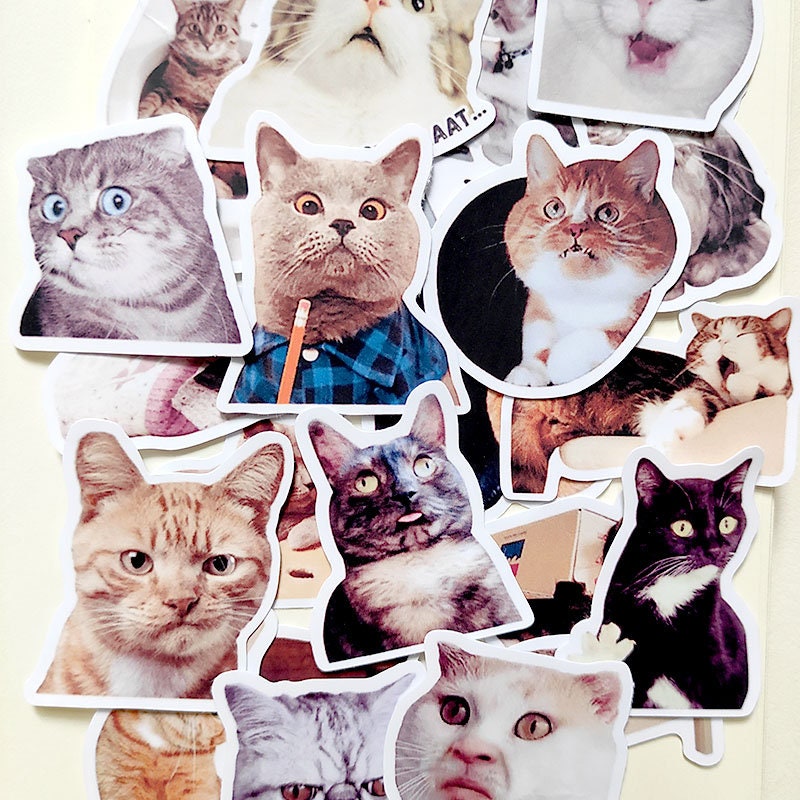 Cartoon Kitty Stickers, Cute Cat Stickers, Funny Cat Stickers, Kawaii  Animal Stickers, Cat Lover Gift, Kitten Planner Journalstickers, MS-71 