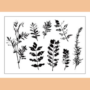 clear Stamp Set / Clear Stamps / vintage leaves leaf mottled leaves wild flower plant Branches herbs and leaves themed Transparent Stamp S33