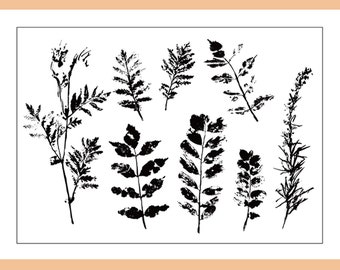 May include: A collection of ten black and white leaf silhouettes, created using a printmaking technique. The leaves are arranged in a random pattern on a white background.