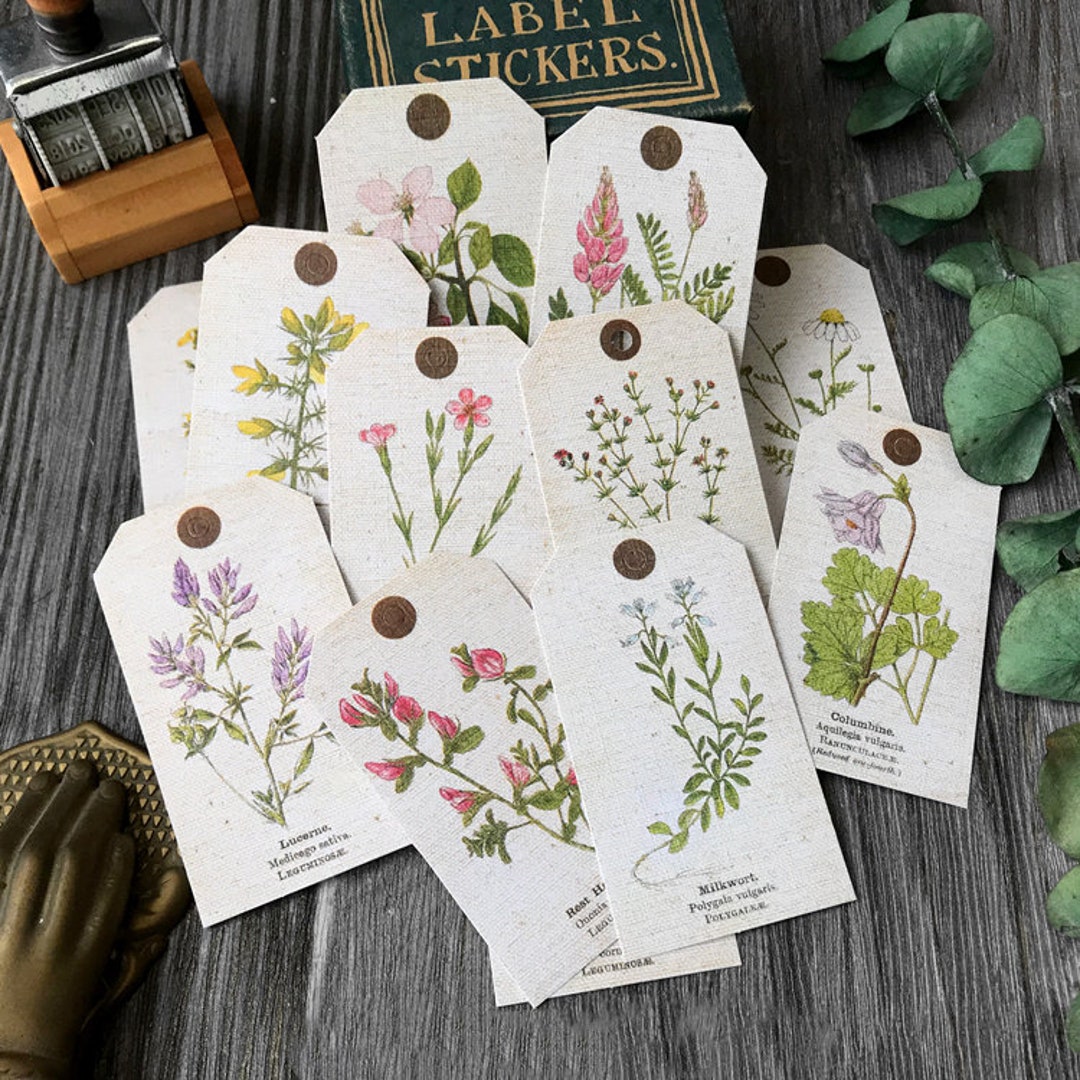 Wildflower Stickers, Botanical Sticker Pack, Foliage Stickers