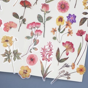 May include: A sheet of colorful floral stickers with various flowers, including roses, tulips, and daisies. The stickers are on a white background and are perfect for adding a touch of nature to your crafts, journals, or planners.
