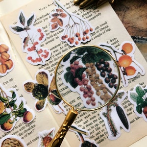 Puede incluir: Una colección de pegatinas botánicas vintage que representan diversas plantas y frutos, incluyendo bayas, hojas y flores. Las pegatinas están impresas en papel adhesivo transparente y son perfectas para añadir un toque de naturaleza a diarios, planificadores y otros proyectos de manualidades.