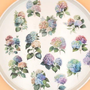 bloem hortensia perkamentstickers | Stickerspakket bloementuin bloementhema T03