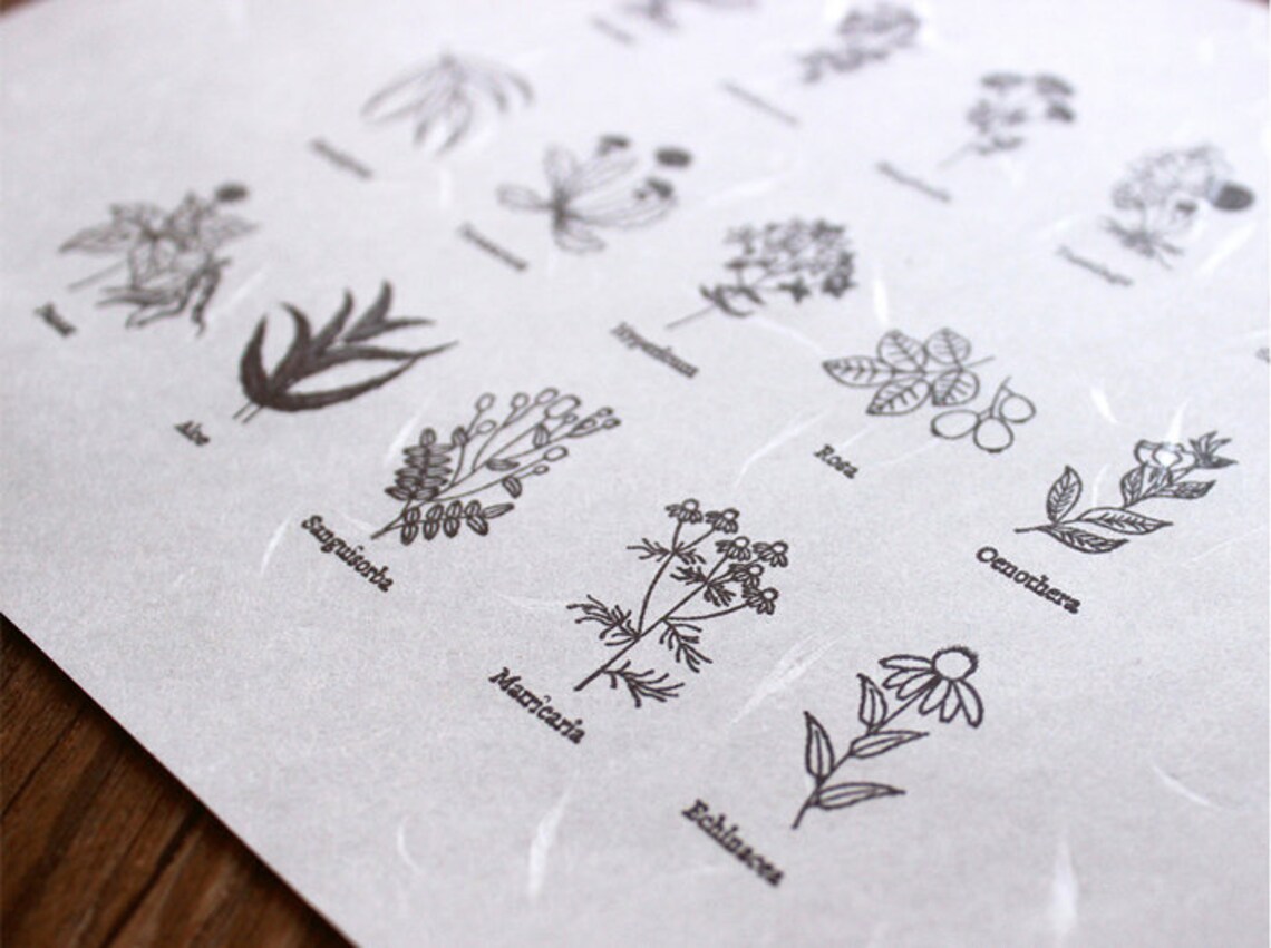 Clear Stamp Set / Floral Botanicals Rubber Stamps /flowers Etsy Denmark