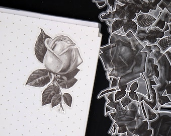 flower sketch vellum sticker | Silver foil rose  black white botanical sketching floral flower plant die cut stickers