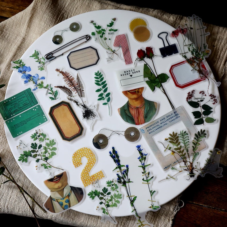 Botanical Vellum Sticker 75pcs/pack Vellum Texture Thin Etsy