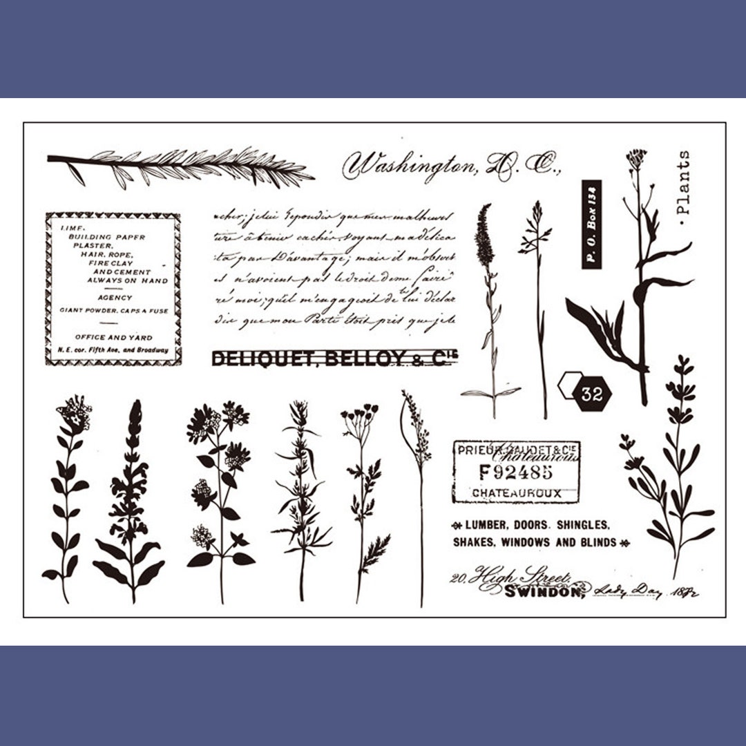 Clear Stamp Set / Clear Stamps / Long Leaf Vine Plant Botanical Green ...