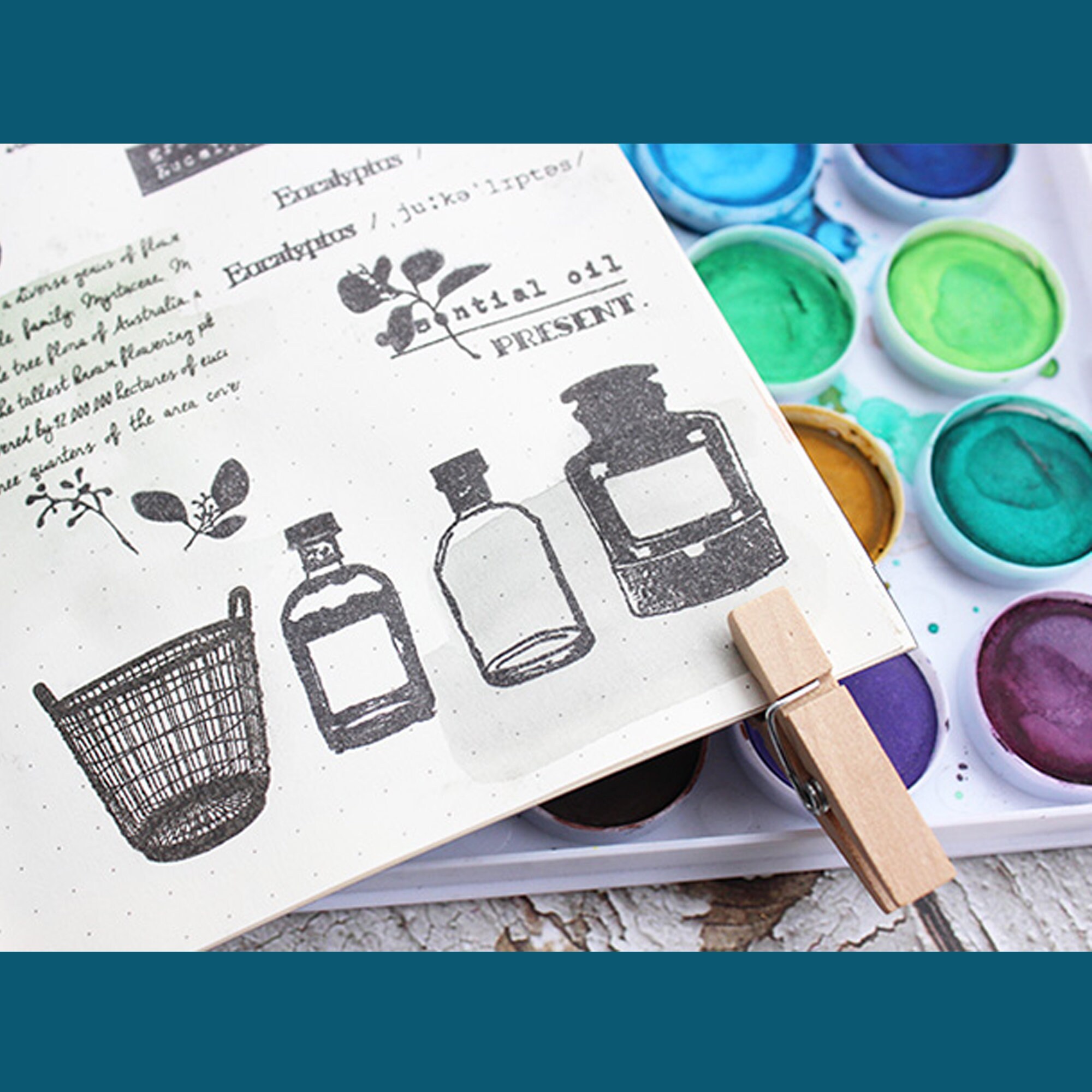 Clear Stamp Set / Clear Stamps / Eucalyptus Flower Plant Branches and ...