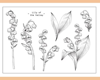 Clear Lily Pad Stamp Etsy Ireland