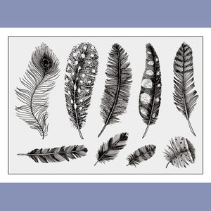 Peut inclure: Un ensemble de dix dessins à l'encre noire et blanche de différentes plumes. Les plumes sont dessinées dans un style réaliste et comprennent des plumes de paon, de faisan et d'autres oiseaux.