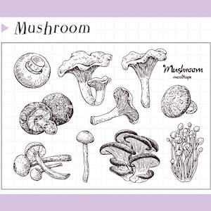 clear stamp set /clear stamps /planner Journal stamp/ mushroom s07