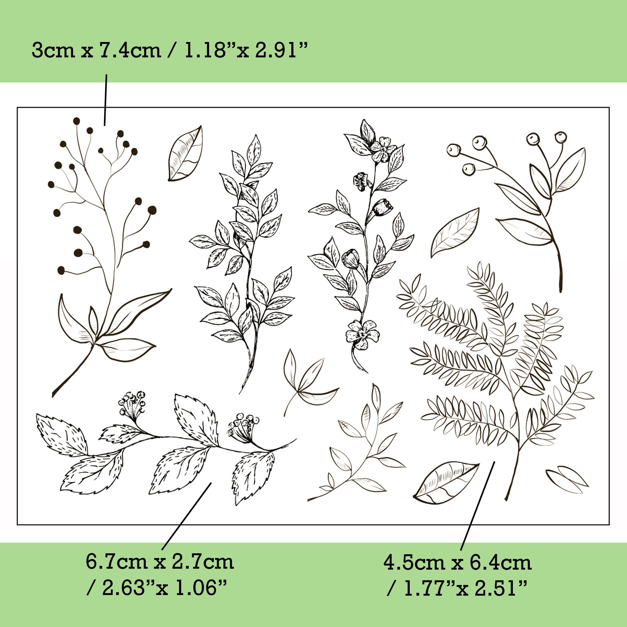 Clear Stamp Set /clear Stamps /leaf Leaves Tree Botanical - Etsy