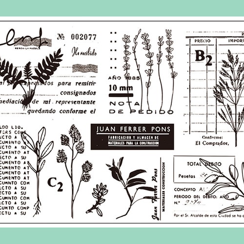 Clear Stamp Set / Clear Stamps / Flower Plant Leaves Branch - Etsy