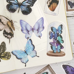 Butterfly PET stickers | 20pcs/pack Butterly nature specimen PET stickers