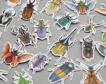 Op de afbeelding: Een verzameling kleurrijke insectenstickers, waaronder kevers, vlinders en spinnen, met ingewikkelde aquarel details. De stickers hebben verschillende vormen en maten, met een witte rand, gerangschikt op een grijze ondergrond.