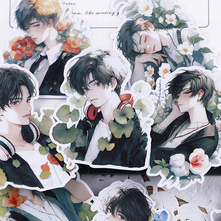 Clean Boy Sticker Cool Boy Sticker, Handsome Boy Stickers Pack~die-cut Sticker Junk ...