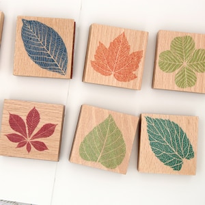 Bladnerven houten stempels (diverse bladeren groene botanische plant bladeren stempels)