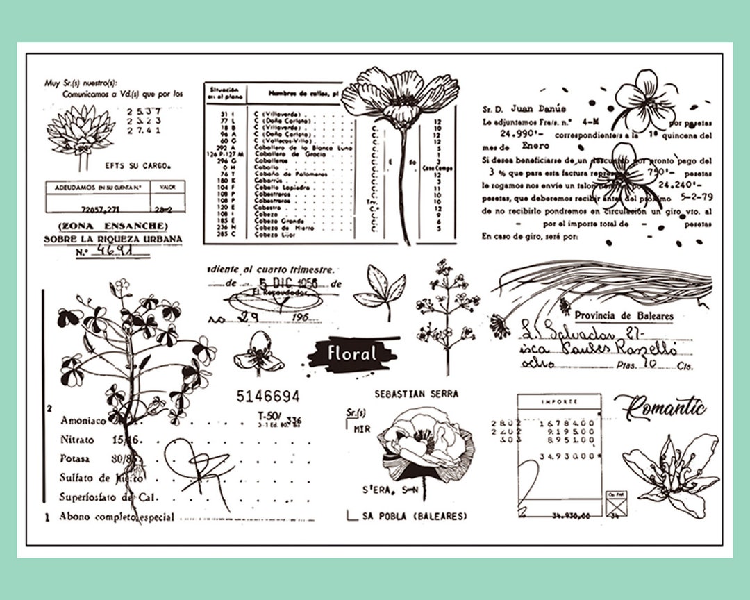 Clear Stamp Set / Clear Stamps / Flower Plant Leaves Branch Receipt ...