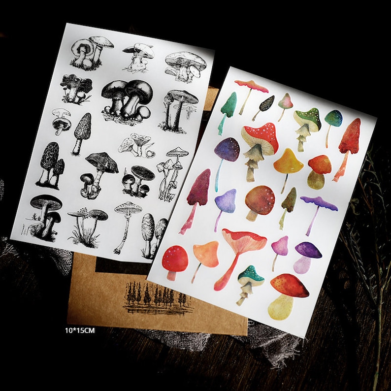 RUB-ON stickers 2 sheets Rub On Transfer Stickers, botanical mushroom ,embellishment T03 PASH T03-4 image 1