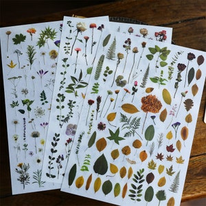 Opstrijkstickers | 3 vellen aquarel groen blad botanische bloem bloemen bladeren wrijven op transferstickers, T03