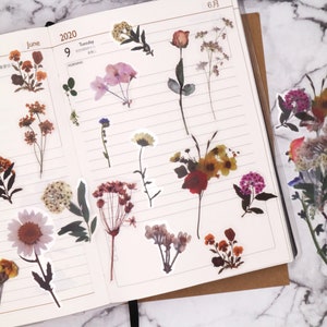 12pcs Dried Flower Aesthetic Stickers for Journals Sticker for Sale by  rarebyanjalika