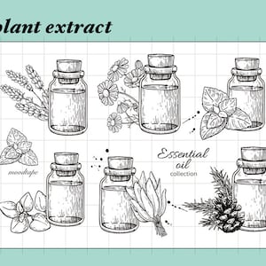 clear Stamp Set / Clear Stamps /plant extract Transparent Stamp s14