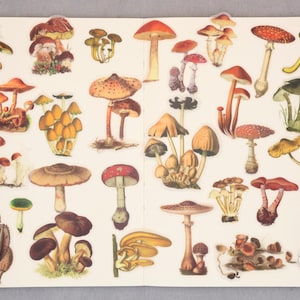100pcs/Pack assorted mushroom stickers vellum plant stickers Decorative Stickers, Die Cut Stickers T03