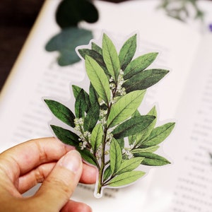 vellum stickers | 50pcs/Pack ;leaf plant and animal themed vellum texture Die Cut Stickers  T03 BS sale09