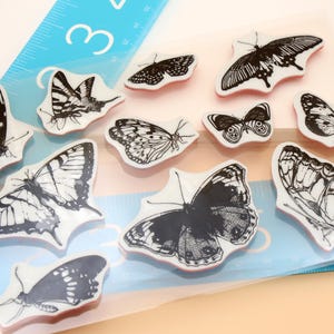 Cling Rubber Stamp Set / rubber stamps /  butterfly collection moth  theme m04 s20