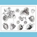 see more listings in the Clear / Cling Stamps section