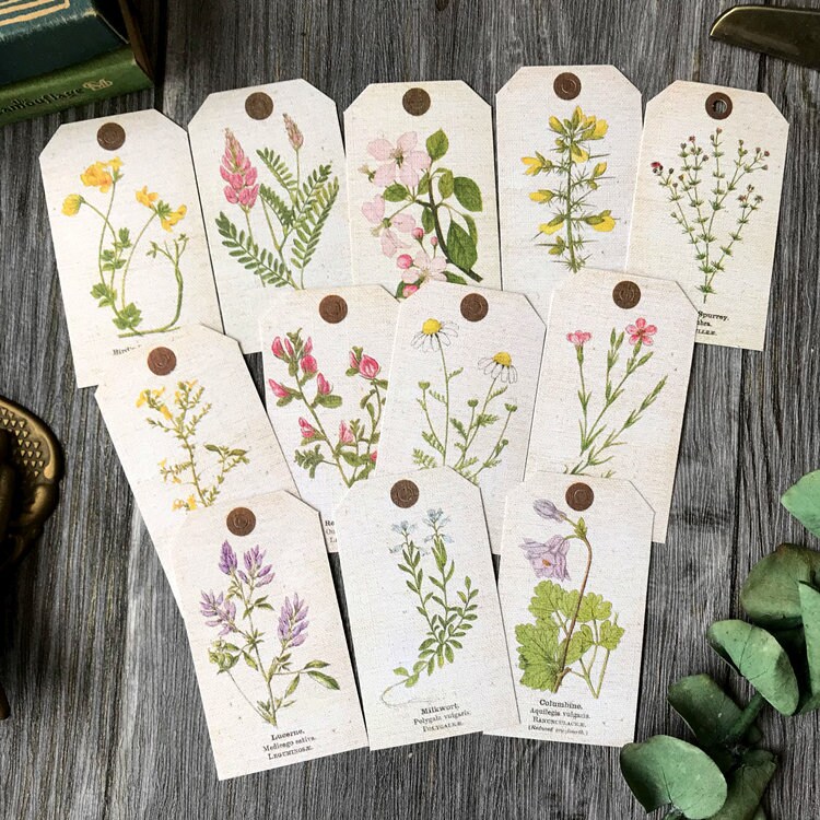 Vintage Botanical Tag Specimen Plant Themed Decorative Ephemera, Plant ...