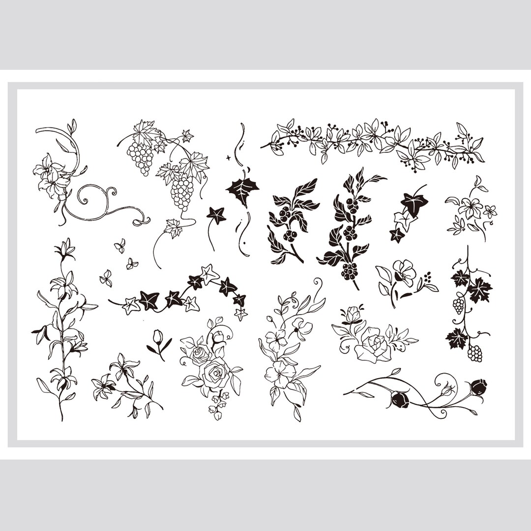 Clear Stamp Set / Clear Stamps / Vine Flower Spring Flower Flower ...